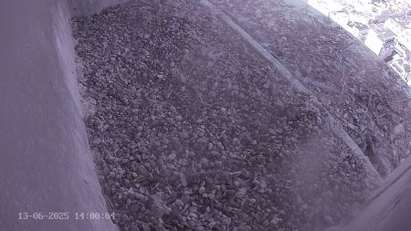 Sussex Heights Peregrine Falcons Webcam Image 13 Jun 2025 14:00:04