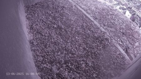 Sussex Heights Peregrine Falcons Webcam Image 13 Jun 2025 16:00:04