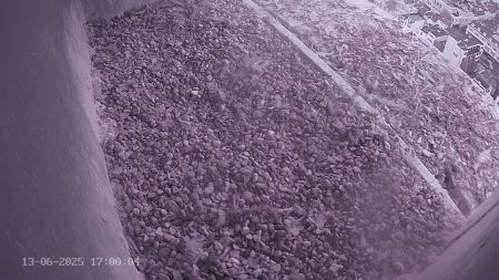 Sussex Heights Peregrine Falcons Webcam Image 13 Jun 2025 17:00:04