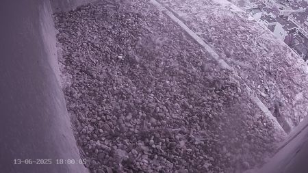 Sussex Heights Peregrine Falcons Webcam Image 13 Jun 2025 18:00:04