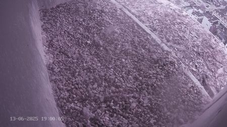 Sussex Heights Peregrine Falcons Webcam Image 13 Jun 2025 19:00:04