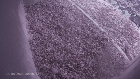 Sussex Heights Peregrine Falcons Webcam Image 13 Jun 2025 20:00:04