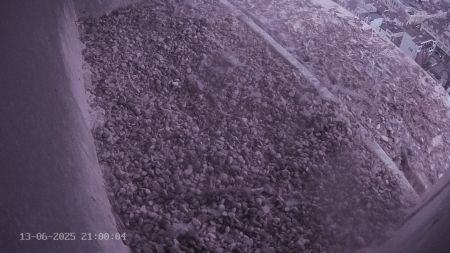 Sussex Heights Peregrine Falcons Webcam Image 13 Jun 2025 21:00:04