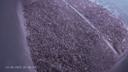 Sussex Heights Peregrine Falcons Webcam Image 14 Jun 2025 05:00:04