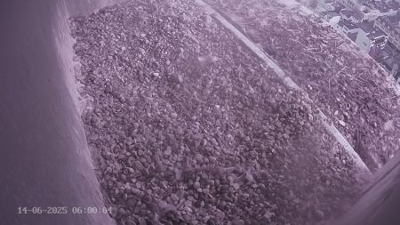 Sussex Heights Peregrine Falcons Webcam Image 14 Jun 2025 06:00:04