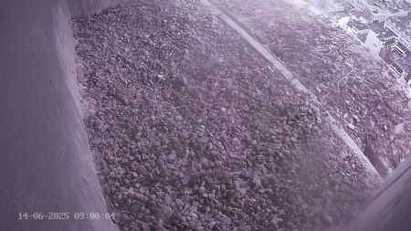 Sussex Heights Peregrine Falcons Webcam Image 14 Jun 2025 09:00:04