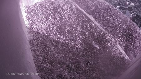 Sussex Heights Peregrine Falcons Webcam Image 15 Jun 2025 06:00:04