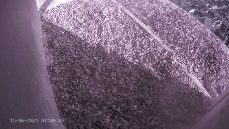 Sussex Heights Peregrine Falcons Webcam Image 15 Jun 2025 07:00:04