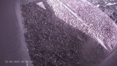 Sussex Heights Peregrine Falcons Webcam Image 15 Jun 2025 08:00:04