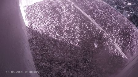 Sussex Heights Peregrine Falcons Webcam Image 16 Jun 2025 06:00:04