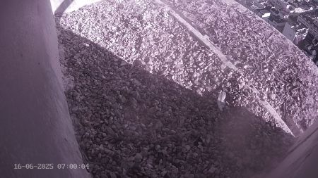 Sussex Heights Peregrine Falcons Webcam Image 16 Jun 2025 07:00:04