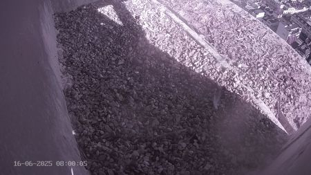 Sussex Heights Peregrine Falcons Webcam Image 16 Jun 2025 08:00:04