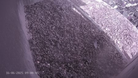 Sussex Heights Peregrine Falcons Webcam Image 16 Jun 2025 09:00:04
