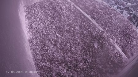 Sussex Heights Peregrine Falcons Webcam Image 17 Jun 2025 05:00:04
