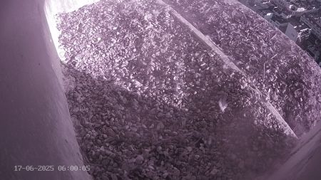 Sussex Heights Peregrine Falcons Webcam Image 17 Jun 2025 06:00:04
