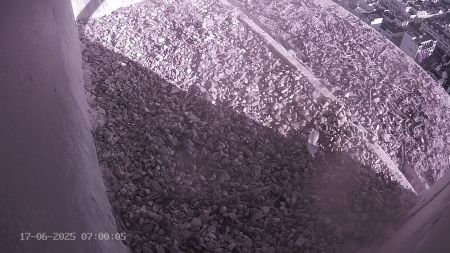 Sussex Heights Peregrine Falcons Webcam Image 17 Jun 2025 07:00:04