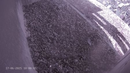 Sussex Heights Peregrine Falcons Webcam Image 17 Jun 2025 10:00:04