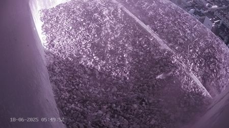 Sussex Heights Peregrine Falcons Webcam Image 18 Jun 2025 05:49:51