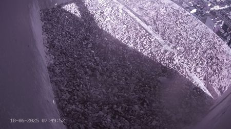Sussex Heights Peregrine Falcons Webcam Image 18 Jun 2025 07:49:51