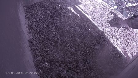 Sussex Heights Peregrine Falcons Webcam Image 18 Jun 2025 08:49:51