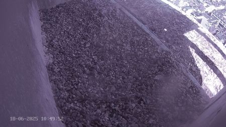 Sussex Heights Peregrine Falcons Webcam Image 18 Jun 2025 10:49:51