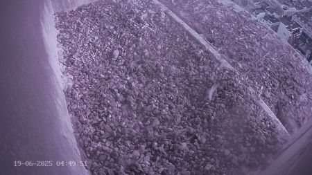 Sussex Heights Peregrine Falcons Webcam Image 19 Jun 2025 04:49:51