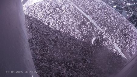 Sussex Heights Peregrine Falcons Webcam Image 19 Jun 2025 06:49:51