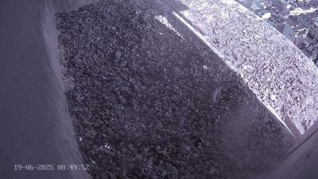 Sussex Heights Peregrine Falcons Webcam Image 19 Jun 2025 08:49:51