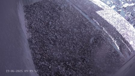 Sussex Heights Peregrine Falcons Webcam Image 19 Jun 2025 09:49:51