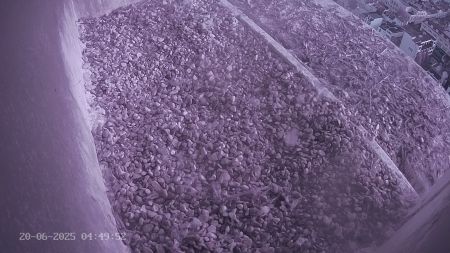 Sussex Heights Peregrine Falcons Webcam Image 20 Jun 2025 04:49:51