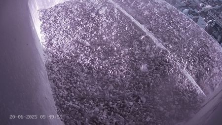 Sussex Heights Peregrine Falcons Webcam Image 20 Jun 2025 05:49:51