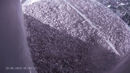 Sussex Heights Peregrine Falcons Webcam Image 20 Jun 2025 06:49:51