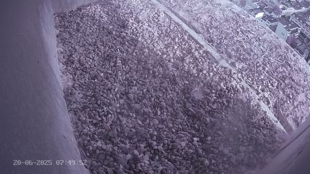 Sussex Heights Peregrine Falcons Webcam Image 20 Jun 2025 07:49:51