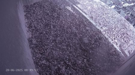 Sussex Heights Peregrine Falcons Webcam Image 20 Jun 2025 08:49:51