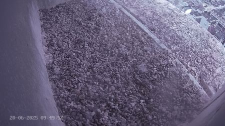 Sussex Heights Peregrine Falcons Webcam Image 20 Jun 2025 09:49:51