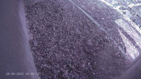 Sussex Heights Peregrine Falcons Webcam Image 20 Jun 2025 10:49:51