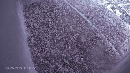 Sussex Heights Peregrine Falcons Webcam Image 20 Jun 2025 11:49:51