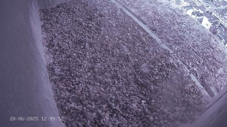Sussex Heights Peregrine Falcons Webcam Image 20 Jun 2025 12:49:51