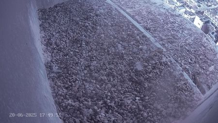 Sussex Heights Peregrine Falcons Webcam Image 20 Jun 2025 17:49:51