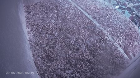 Sussex Heights Peregrine Falcons Webcam Image 22 Jun 2025 06:49:52