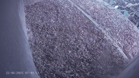 Sussex Heights Peregrine Falcons Webcam Image 22 Jun 2025 07:49:52
