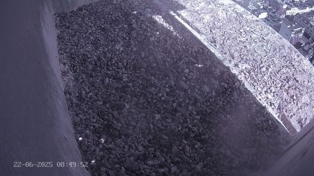 Sussex Heights Peregrine Falcons Webcam Image 22 Jun 2025 08:49:52