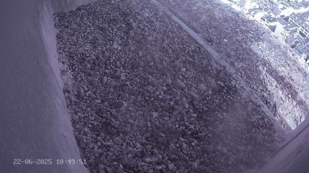 Sussex Heights Peregrine Falcons Webcam Image 22 Jun 2025 10:49:52
