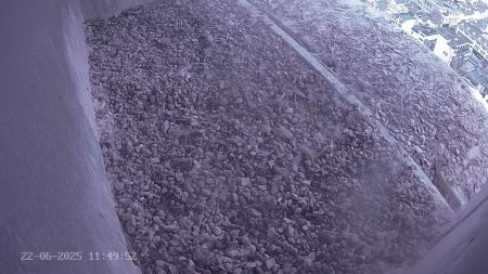 Sussex Heights Peregrine Falcons Webcam Image 22 Jun 2025 11:49:52
