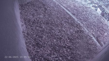Sussex Heights Peregrine Falcons Webcam Image 22 Jun 2025 14:49:52