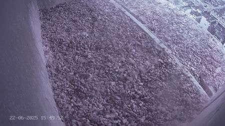 Sussex Heights Peregrine Falcons Webcam Image 22 Jun 2025 15:49:52