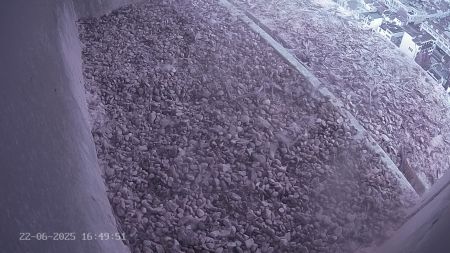 Sussex Heights Peregrine Falcons Webcam Image 22 Jun 2025 16:49:52