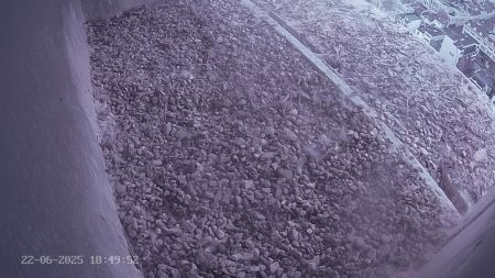 Sussex Heights Peregrine Falcons Webcam Image 22 Jun 2025 18:49:52