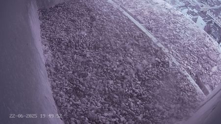 Sussex Heights Peregrine Falcons Webcam Image 22 Jun 2025 19:49:52