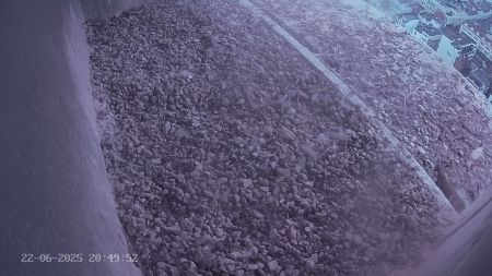 Sussex Heights Peregrine Falcons Webcam Image 22 Jun 2025 20:49:52